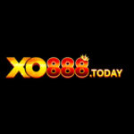 Profile picture of XO888 Casino