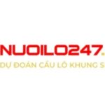 Profile picture of https://nuoilo247.com/