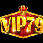 Profile picture of vip79forum