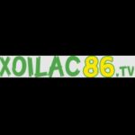 Profile picture of xoilactvltd