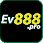 Profile picture of single