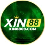 Profile picture of Xin88