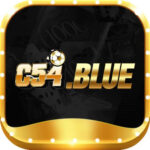Profile picture of c54blue1