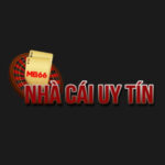 Profile picture of nhacaiuytinn lol