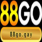 Profile picture of 88go
