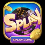 Profile picture of splaylove