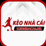 Profile picture of keonhacainz