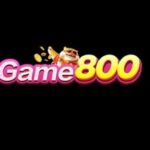 Profile picture of Game800