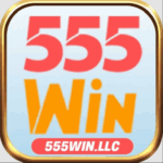 Profile picture of 555winllc