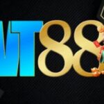 Profile picture of Wt88