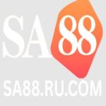 Profile picture of CEO SA88 Aiden Phan