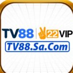 Profile picture of TV88