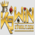Profile picture of k9winitcom