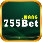 Profile picture of 755Bet wang