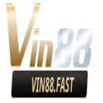 Profile picture of VIN88