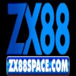Profile picture of zx88 space com
