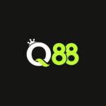 Profile picture of q88innet