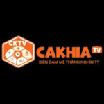 Profile picture of Cakhiatvzz Tv