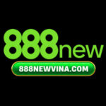 Profile picture of 888NEW VINA