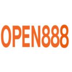 Profile picture of Open888 it com