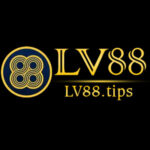 Profile picture of LV88 tips