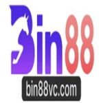 Profile picture of BIN 88