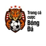 Profile picture of trangcadosg