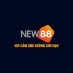 Profile picture of NEW88