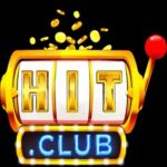 Profile picture of Hitclub365 org