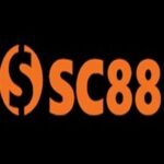 Profile picture of https://activetraining.uk.com/