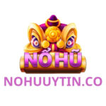 Profile picture of nohuuytinco